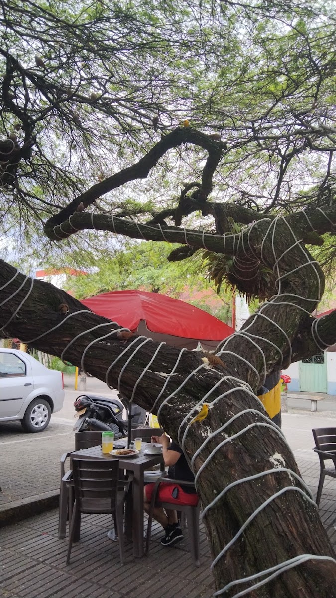 Restaurante La Gran Esquina Photos 2